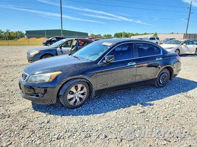 2009 HONDA ACCORD EX 5KBCP367X9B001073 - główne zdjęcie licytacji z USA - miniatura
