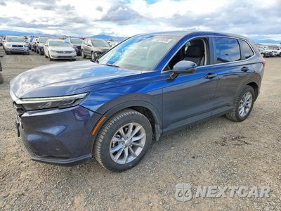 2025 HONDA CR-V EX 2HKRS4H46SH487761 - główne zdjęcie licytacji z USA - miniatura