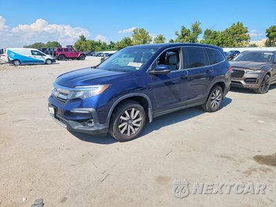 2020 HONDA PILOT EXL 5FNYF5H55LB021026 - główne zdjęcie licytacji z USA - miniatura