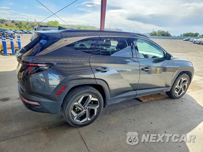 Trzecie zdjęcie samochodu z tyłu: 2024 HYUNDAI TUCSON LIMITED VIN:5NMJECDEXRH305564 - miniatura