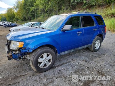 2012 FORD ESCAPE XLT 1FMCU0D72CKC74264 - główne zdjęcie licytacji z USA - miniatura