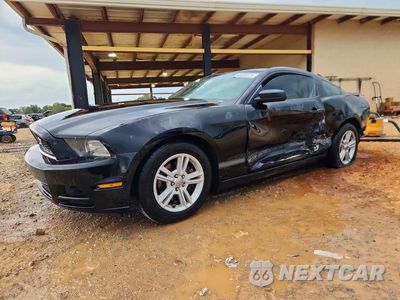 2013 FORD MUSTANG 1ZVBP8AMXD5258150 - główne zdjęcie licytacji z USA - miniatura