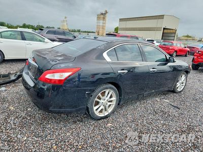 Trzecie zdjęcie samochodu z tyłu: 2009 NISSAN MAXIMA 3.5 S VIN:1N4AA51E59C834307 - miniatura