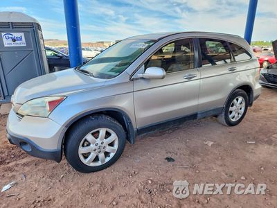 2009 HONDA CR-V EXL 5J6RE38729L018419 - główne zdjęcie licytacji z USA - miniatura
