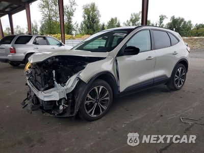 2022 FORD ESCAPE SEL 1FMCU9H91NUB42149 - główne zdjęcie licytacji z USA - miniatura
