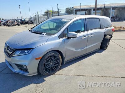 2020 HONDA ODYSSEY EXL 5FNRL6H75LB050286 - główne zdjęcie licytacji z USA - miniatura