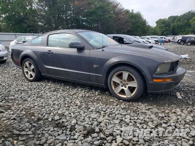Czwarte zdjęcie samochodu z boku: 2019 FORD MUSTANG GT VIN:1ZVFT82H575237600 - miniatura