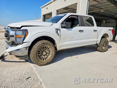 2023 FORD F150 SUPERCREW 1FTFW1E55PKD46921 - główne zdjęcie licytacji z USA - miniatura