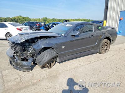 2009 FORD MUSTANG GT 1ZVHT82H395126989 - główne zdjęcie licytacji z USA - miniatura