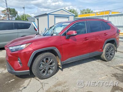 2024 TOYOTA RAV4 XLE PREMIUM 4T3B6RFV0RU145367 - główne zdjęcie licytacji z USA - miniatura