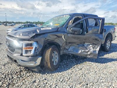 2021 FORD F150 SUPERCREW 1FTFW1E81MFB38324 - główne zdjęcie licytacji z USA - miniatura
