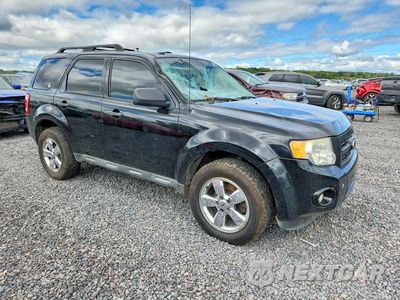 Czwarte zdjęcie samochodu z boku: 2012 FORD ESCAPE XLT VIN:1FMCU0DG7CKA47488 - miniatura