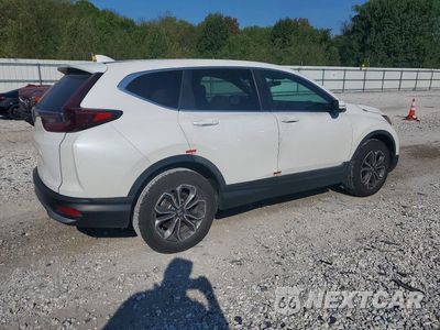 Trzecie zdjęcie samochodu z tyłu: 2020 HONDA CR-V EX VIN:5J6RW1H56LA013467 - miniatura