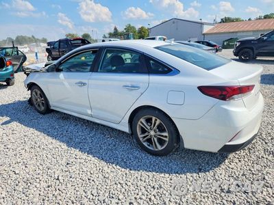 Drugie zdjęcie samochodu z przodu: 2019 HYUNDAI SONATA SEL VIN:5NPE34AF8KH807816 - miniatura