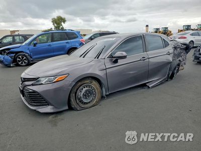 2019 TOYOTA CAMRY LE 4T1B31HK0KU512229 - główne zdjęcie licytacji z USA - miniatura