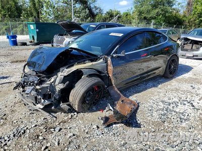 2020 TESLA MODEL 3 5YJ3E1EC7LF669203 - główne zdjęcie licytacji z USA - miniatura