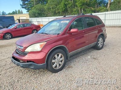 2009 HONDA CR-V EXL 5J6RE387X9L015980 - główne zdjęcie licytacji z USA - miniatura