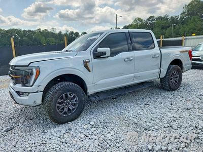 2023 FORD F150 SUPERCREW 1FTEW1E80PFB92357 - główne zdjęcie licytacji z USA - miniatura