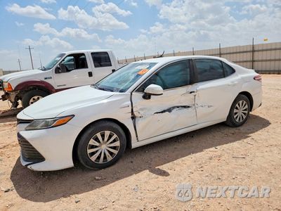 2020 TOYOTA CAMRY LE 4T1C31AKXLU539955 - główne zdjęcie licytacji z USA - miniatura