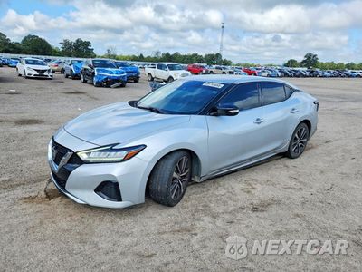 2020 NISSAN MAXIMA SV 1N4AA6CV8LC371654 - główne zdjęcie licytacji z USA - miniatura
