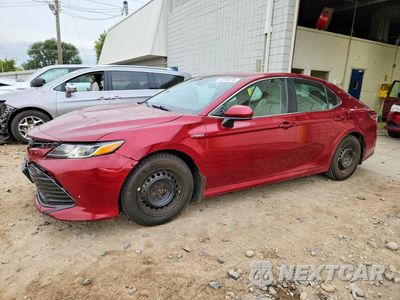 2019 TOYOTA CAMRY LE 4T1B31HK6KU509321 - główne zdjęcie licytacji z USA - miniatura