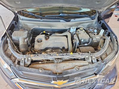 Zdjęcie 12 z 13 samochodu: 2019 CHEVROLET EQUINOX LS VIN:3GNAXHEV7KS512988 - miniatura