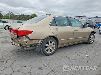 Trzecie zdjęcie samochodu z tyłu: 2005 HONDA ACCORD EX VIN:1HGCM66525A051056 - miniatura