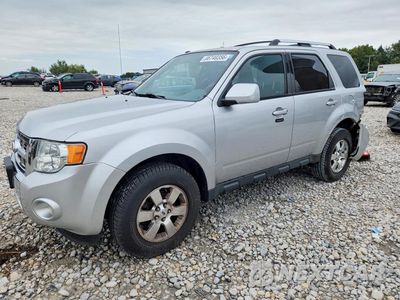 2010 FORD ESCAPE LIMITED 1FMCU0E78AKC41720 - główne zdjęcie licytacji z USA - miniatura