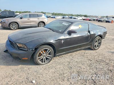 2010 FORD MUSTANG 1ZVBP8AN5A5165170 - główne zdjęcie licytacji z USA - miniatura