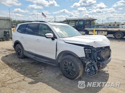 Czwarte zdjęcie samochodu z boku: 2024 KIA TELLURIDE SX-PRESTIGE X-PRO VIN:5XYP5DGC3RG508218 - miniatura