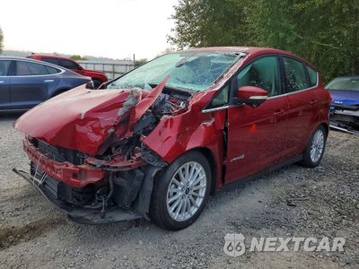 2013 FORD C-MAX SEL 1FADP5BU3DL518950 - główne zdjęcie licytacji z USA - miniatura
