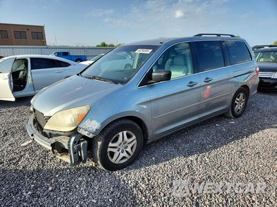 2006 HONDA ODYSSEY EXL 5FNRL38636B007513 - główne zdjęcie licytacji z USA - miniatura