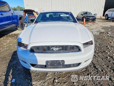 Piąte zdjęcie samochodu w środku: 2014 FORD MUSTANG VIN:1ZVBP8AM0E5282104 - miniatura