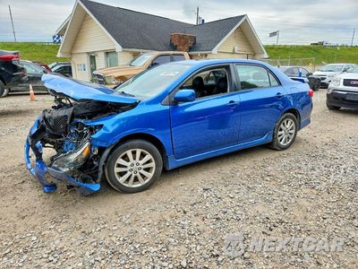 2010 TOYOTA COROLLA S 1NXBU4EE2AZ238480 - główne zdjęcie licytacji z USA - miniatura