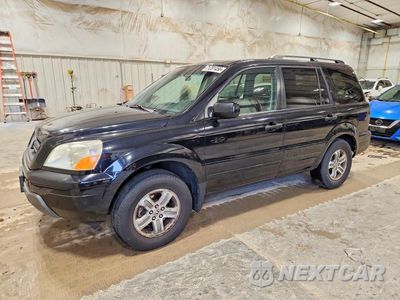 2005 HONDA PILOT EXL 5FNYF185X5B052574 - główne zdjęcie licytacji z USA - miniatura