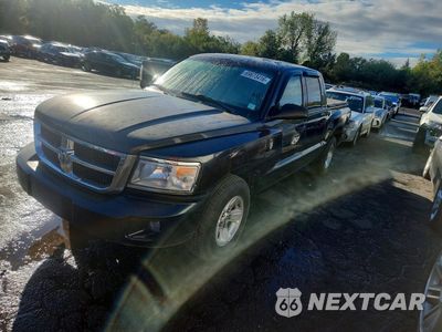2008 DODGE DAKOTA QUAD SLT 1D3HW48KX8S590665 - główne zdjęcie licytacji z USA - miniatura