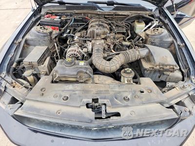 Zdjęcie 11 z 12 samochodu: 2006 FORD MUSTANG VIN:1ZVFT80N465207575 - miniatura