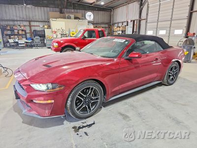 2021 FORD MUSTANG 1FATP8UH9M5135774 - główne zdjęcie licytacji z USA - miniatura