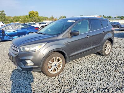 2017 FORD ESCAPE SE 1FMCU0GD5HUA53660 - główne zdjęcie licytacji z USA - miniatura