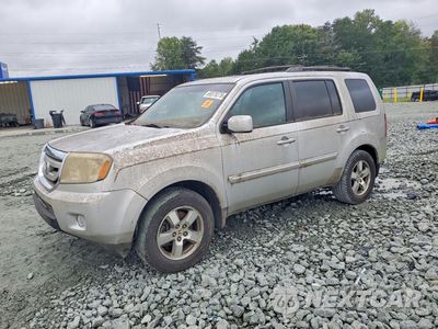 2009 HONDA PILOT EXL 5FNYF38649B005535 - główne zdjęcie licytacji z USA - miniatura