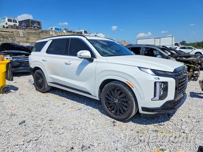 Czwarte zdjęcie samochodu z boku: 2024 HYUNDAI PALISADE CALLIGRAPHY NIGHT EDITION VIN:KM8R7DGE8RU748198 - miniatura