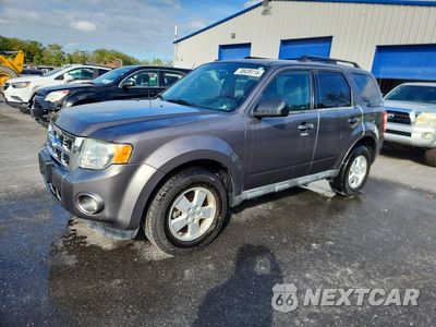 2011 FORD ESCAPE XLT 1FMCU9D70BKB43384 - główne zdjęcie licytacji z USA - miniatura
