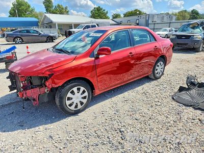2011 TOYOTA COROLLA LE JTDBU4EE5B9162682 - główne zdjęcie licytacji z USA - miniatura