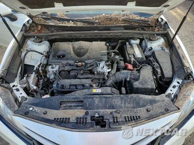 Zdjęcie 11 z 12 samochodu: 2019 TOYOTA CAMRY XSE VIN:4T1B61HK1KU787437 - miniatura