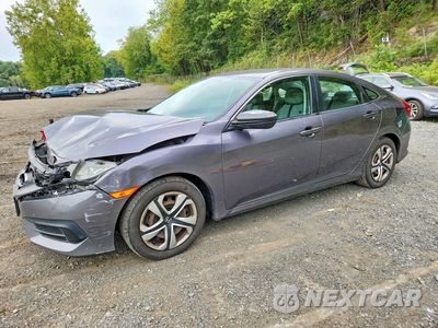 2017 HONDA CIVIC LX 19XFC2F56HE224196 - główne zdjęcie licytacji z USA - miniatura