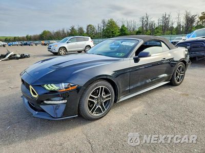 2019 FORD MUSTANG 1FATP8UH4K5182000 - główne zdjęcie licytacji z USA - miniatura