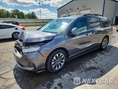 2024 HONDA ODYSSEY EXL 5FNRL6H66RB037272 - główne zdjęcie licytacji z USA - miniatura