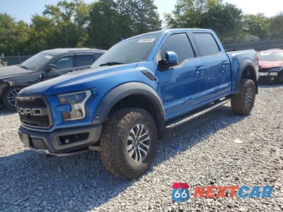 2019 FORD F150 RAPTOR 1FTFW1RG5KFA62332 - główne zdjęcie licytacji z USA - miniatura