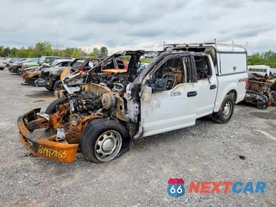 2017 FORD F150 SUPERCREW 1FTEW1E80HFB53740 - główne zdjęcie licytacji z USA - miniatura