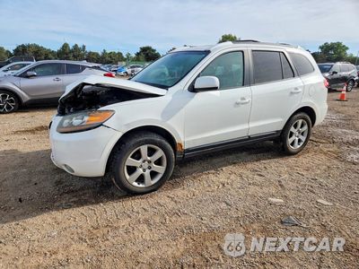 2007 HYUNDAI SANTA FE SE 5NMSH13E07H086533 - główne zdjęcie licytacji z USA - miniatura